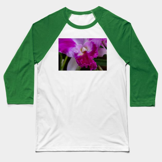 Iris Baseball T-Shirt by Rob Johnson Photography